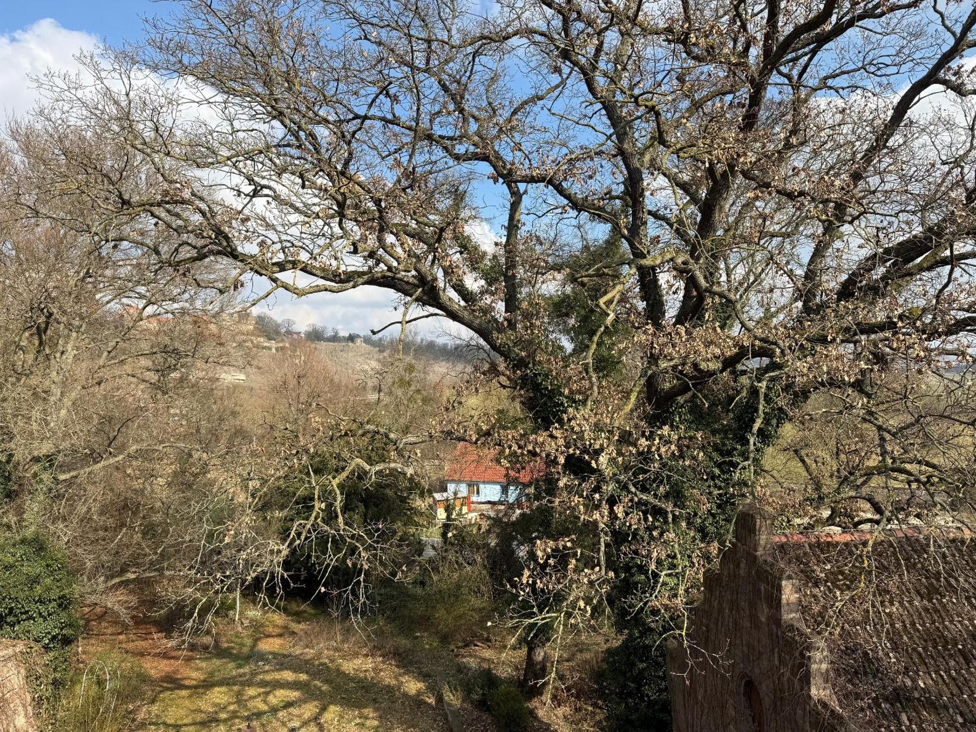 Schloss Zingst Querfurt Εξωτερικό φωτογραφία
