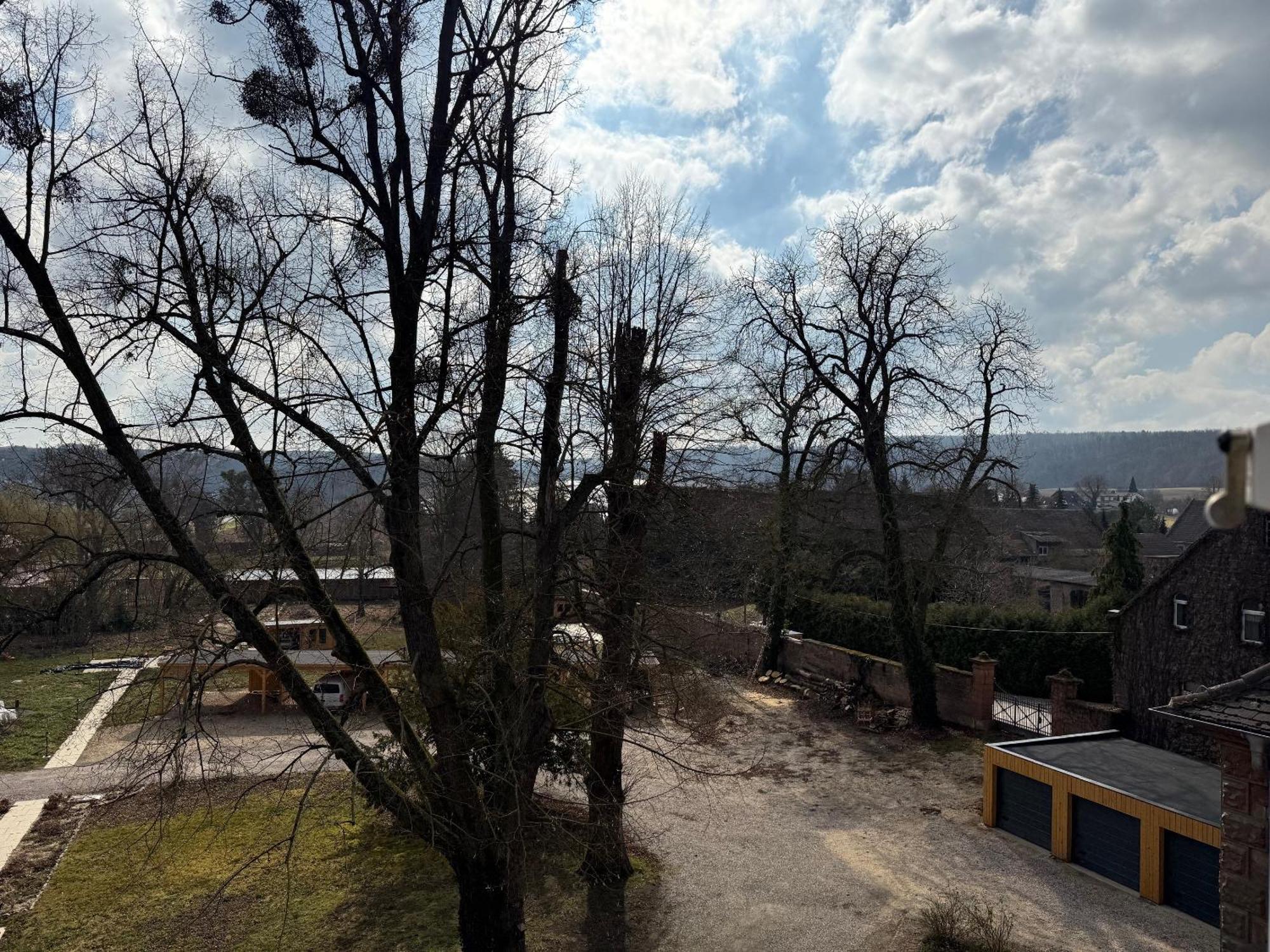 Schloss Zingst Querfurt Εξωτερικό φωτογραφία