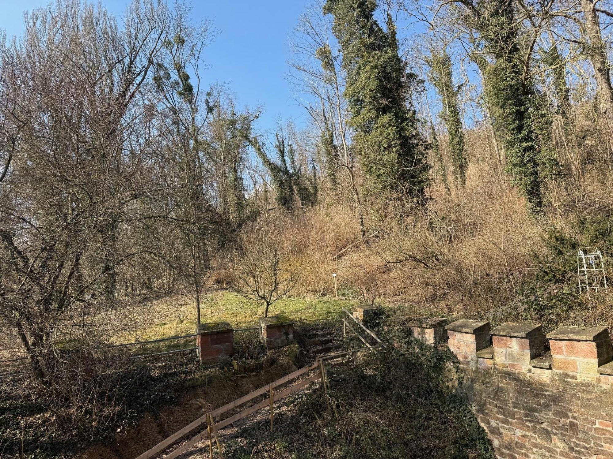 Schloss Zingst Querfurt Εξωτερικό φωτογραφία