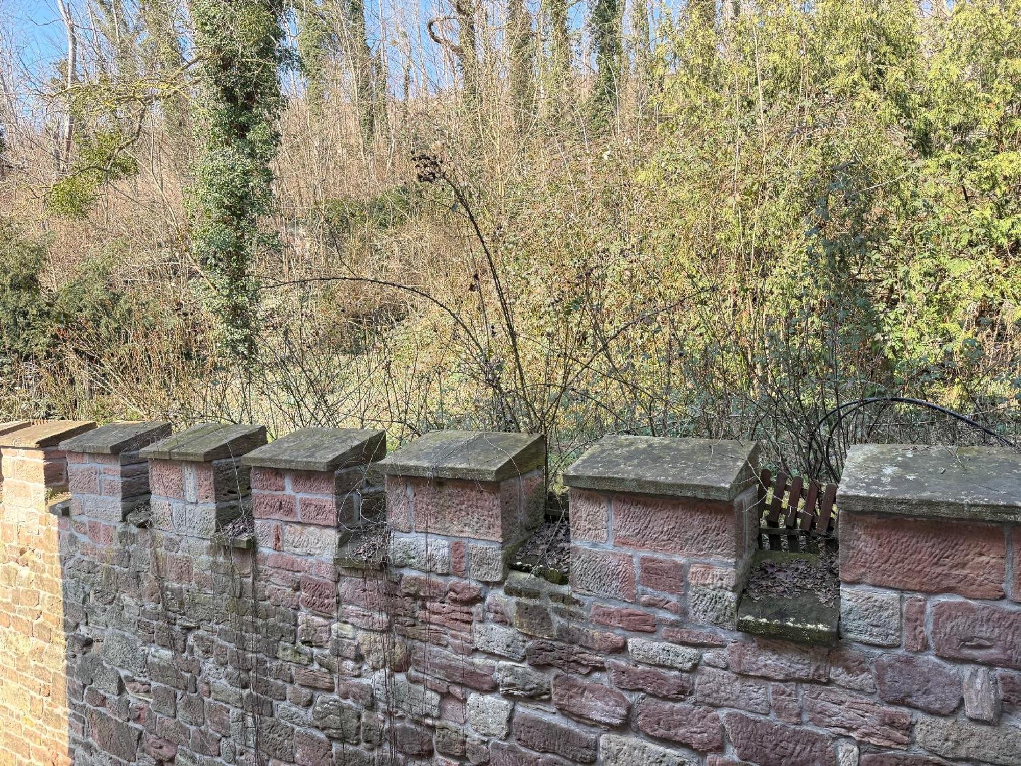 Schloss Zingst Querfurt Εξωτερικό φωτογραφία